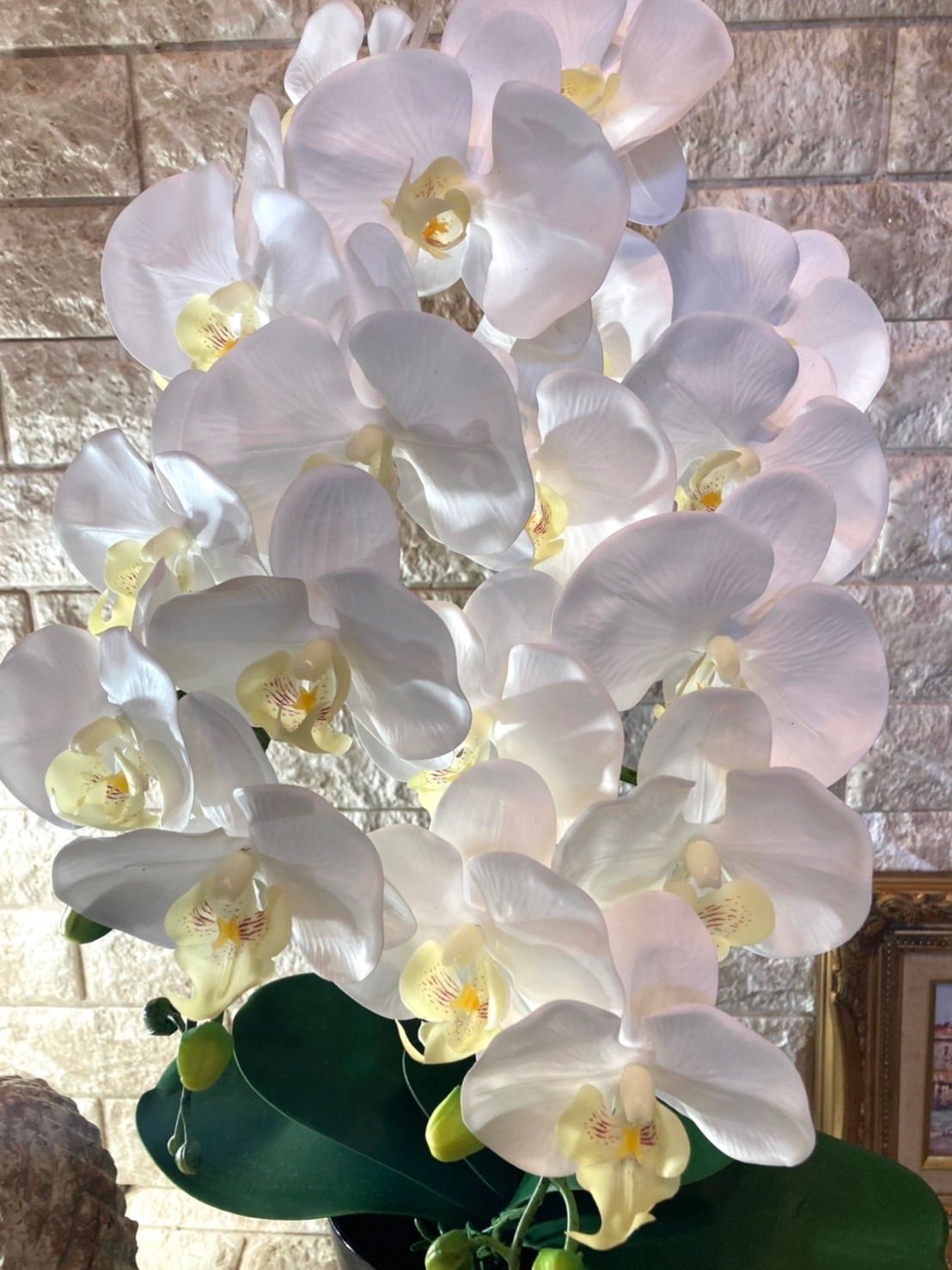 光触媒 人工観葉植物 ウォールグリーン フェイク フラワー リアル胡蝶蘭wtp