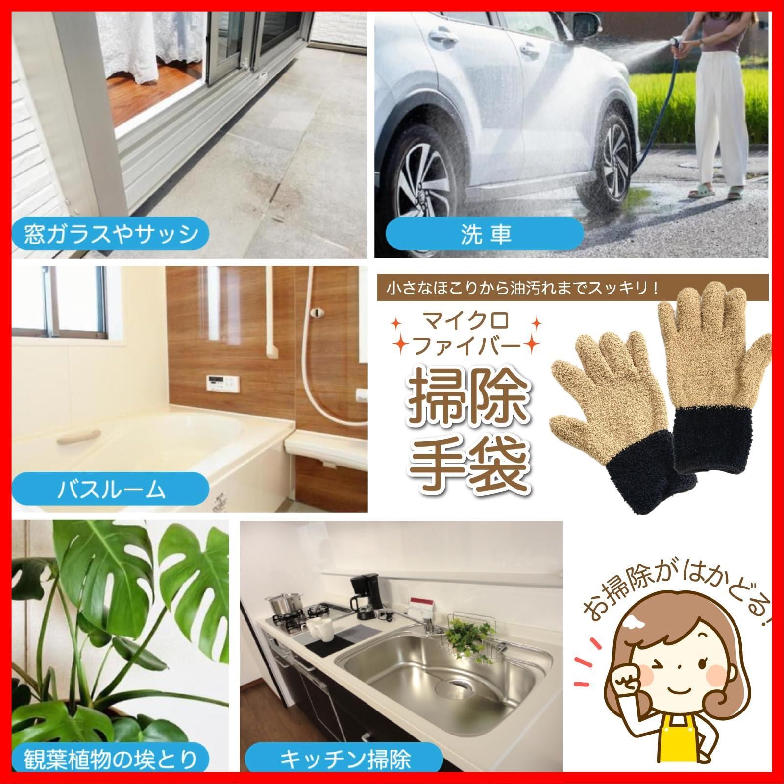 掃除