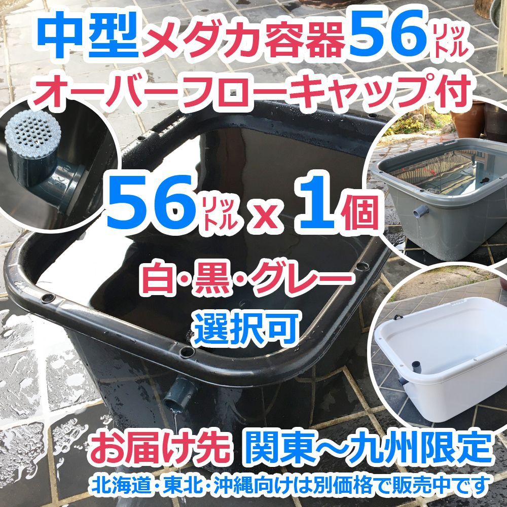 メダカ飼育ケース 56㍑x1個（三色有り）オーバーフローキャップ付 