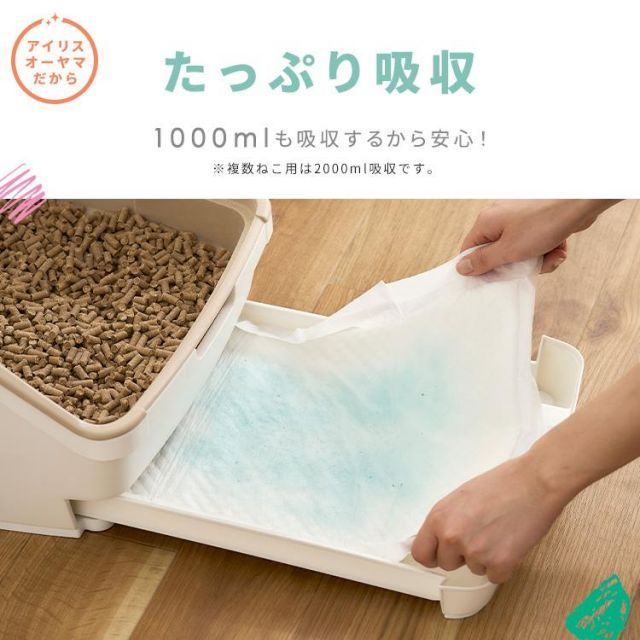 公式 猫
