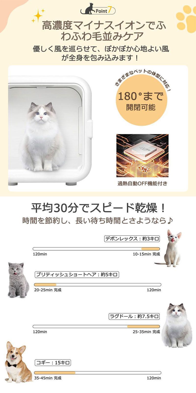 ボックス 猫