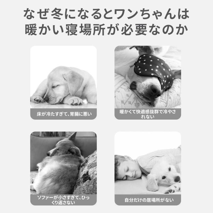 ドームハウス 犬