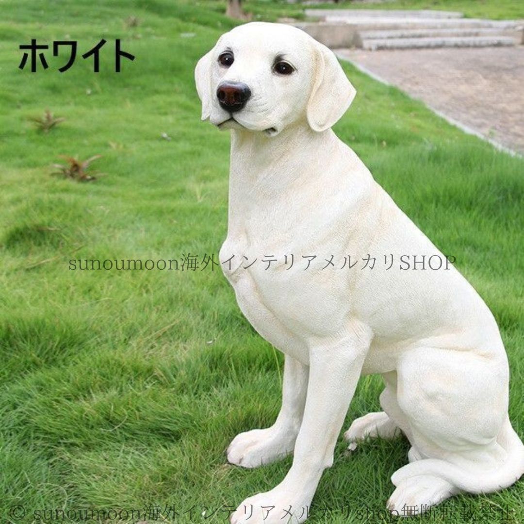 ドッグ ラブラドール