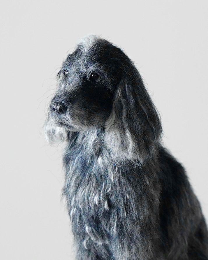 羊毛フェルト Yu様 ジャックラッセル インコ 犬 小鳥 ハンドメイド