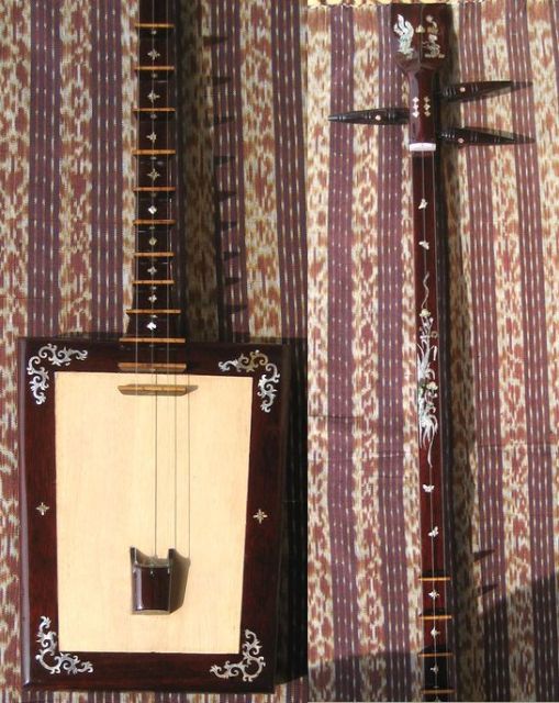 ダン ダイ〜螺鈿装飾〜 ベトナム民族楽器 弦楽器