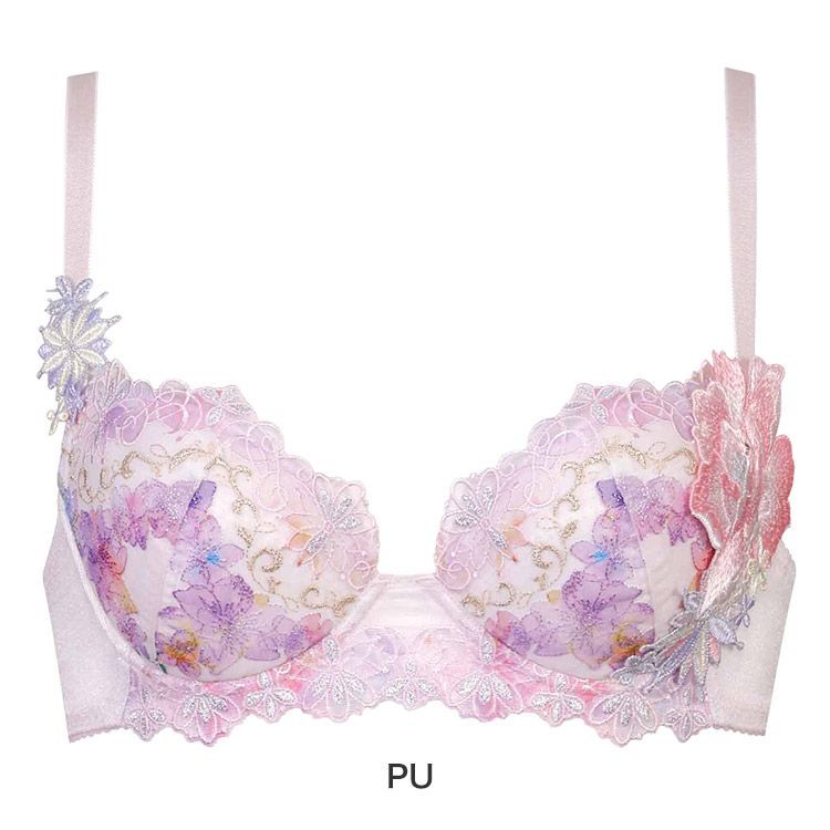 ブラジャー単品 P-upタイプ
