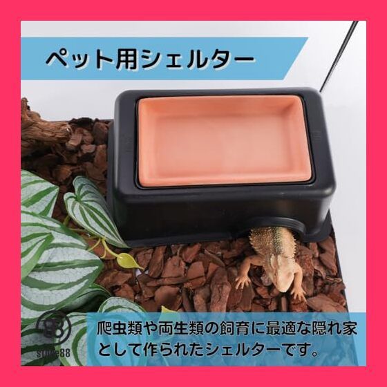 【ポワロページ】爬虫類シェルターセット 爬虫類 ケージ シェルター アクリル製 トカゲ 蛇 サソリ 飼育