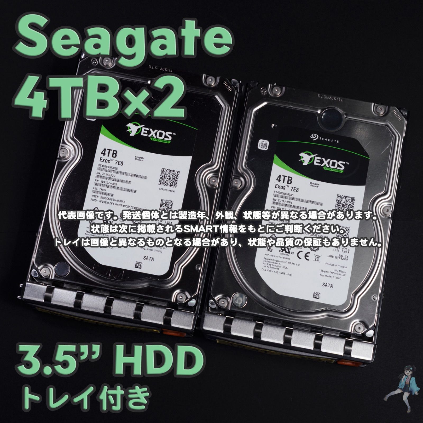 2台セット Seagate Exos 3.5インチHDD 4TB ST4000NM0035 トレイ付き 動作 SG4T-B4|B5 t