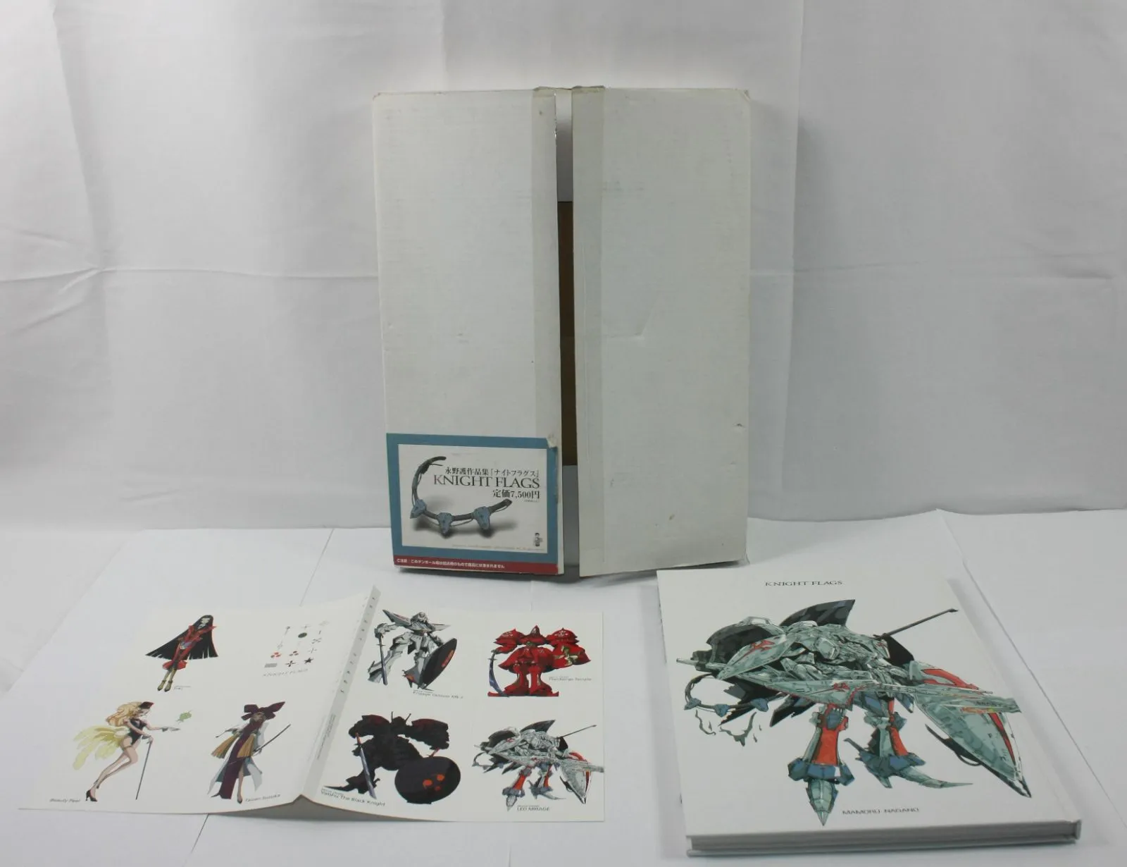 ★ 永野護作品集 ナイトフラグス KNIGHT FLAGS 付属品全完備 ★ Amazon.co.jp: 永野護作品集 FSS ナイトフラグス/KNIGHT FLAGS : 本