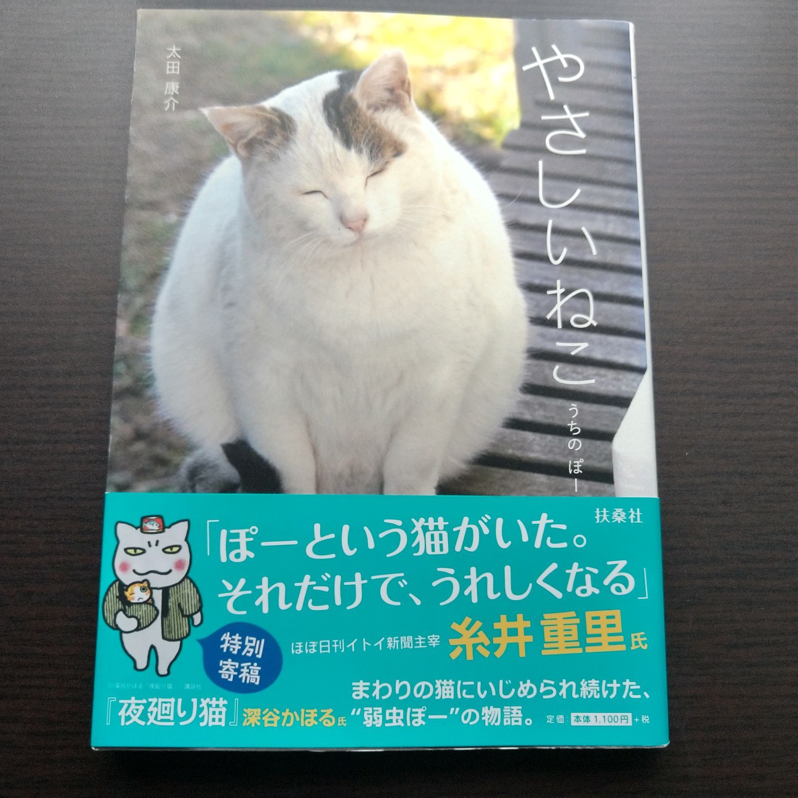 中古】やさしいねこ うちのぽー - メルカリ