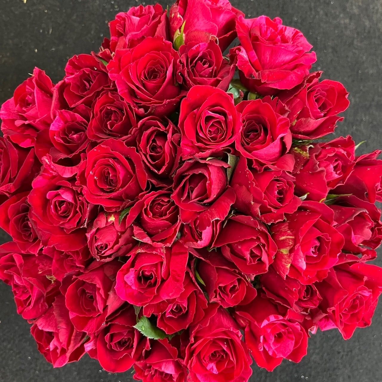 バラ(切り花 ・生花)フルフル 30㎝SMサイズ 40本 産地!赤薔薇