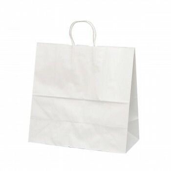 自動手提袋 HV150 晒 無地 50枚 XZK00872 WWW_OLIVIERBERNSTEIN_COM