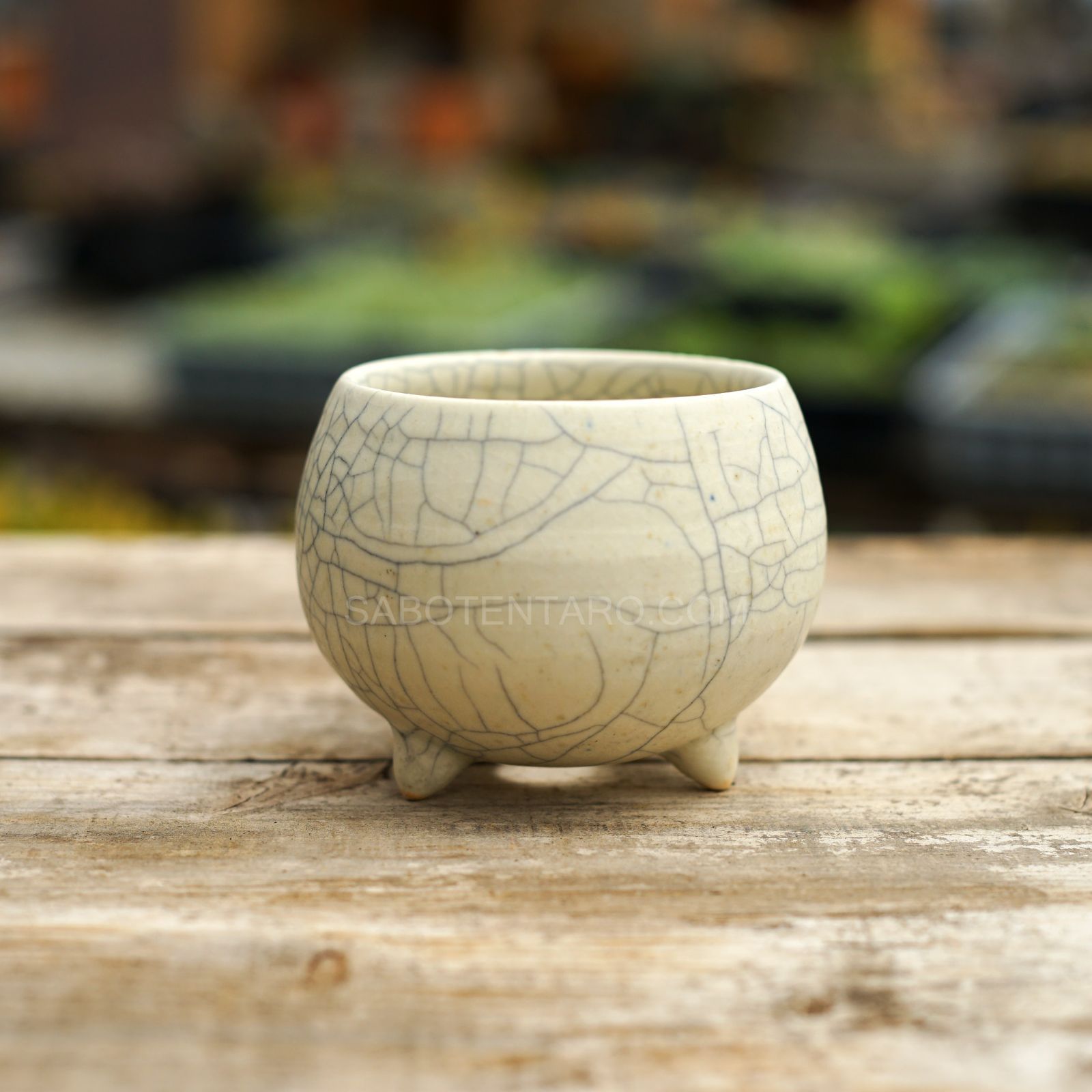 EARTH PIECE CRAFT 陶器鉢(SABOTENTARO.COM別注) epc-008 多肉植物