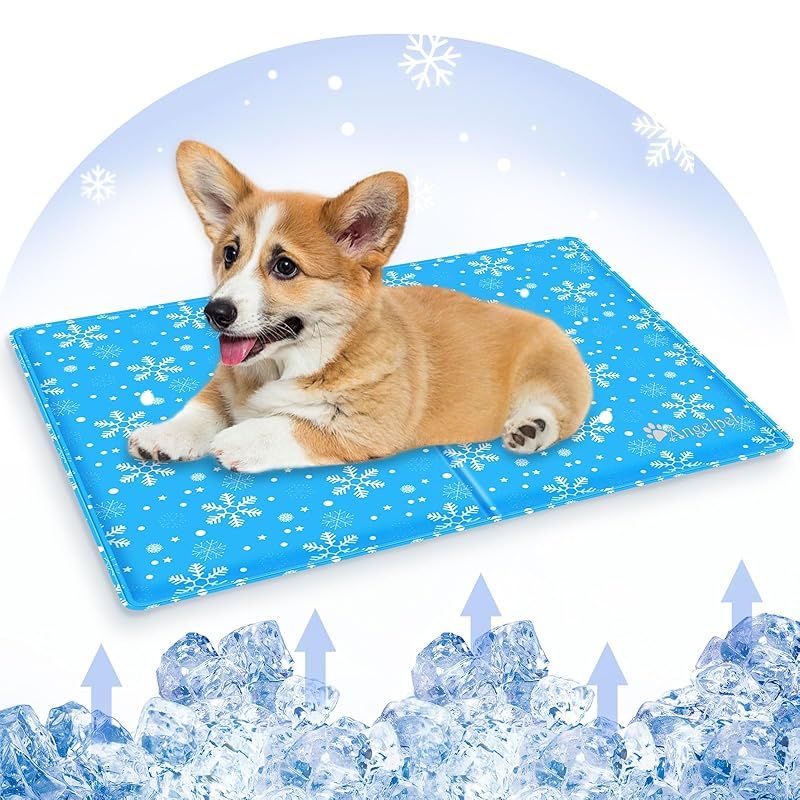 徐悲鴻・四条屏】「春月禽生」掛軸セット 表装済み／全体163×38cm