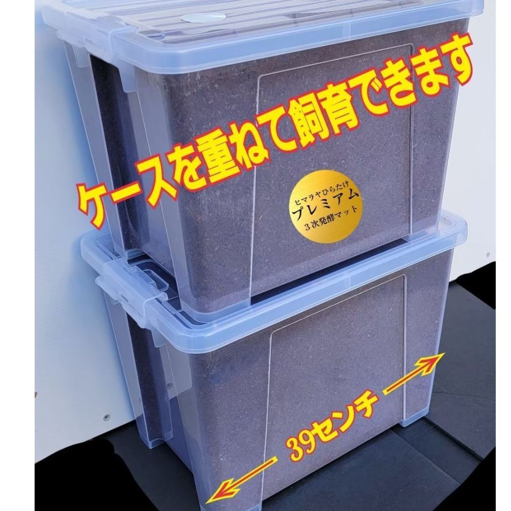 カブトムシ幼虫を入れるだけ！特大ボックス入りプレミアム発酵