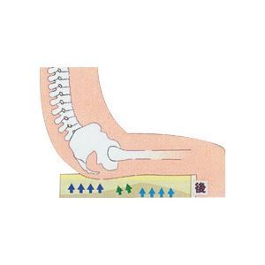 ウィズ 車イス用座位保持クッション