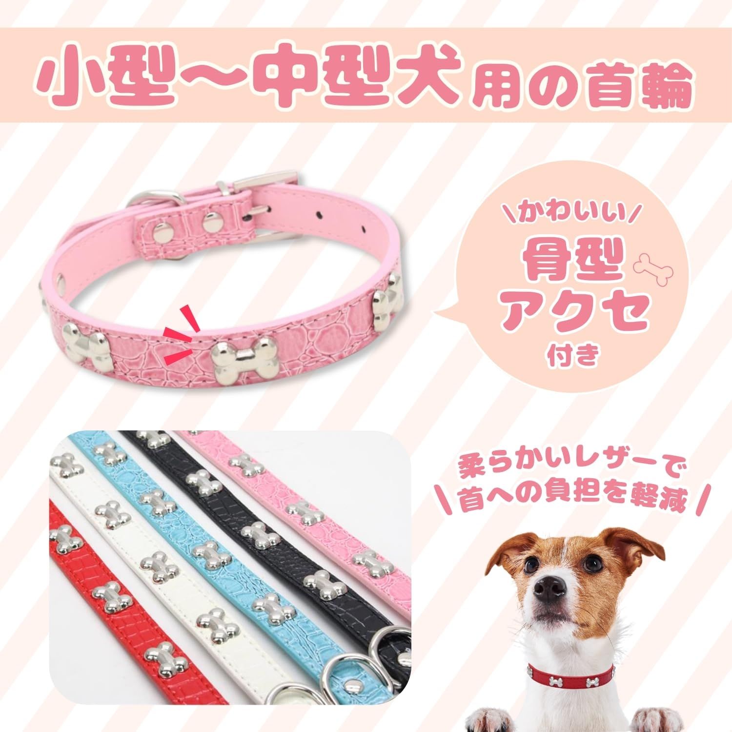 Ray Dog Kyoto ペットグッズ 首輪 犬（超ロングセラー商品