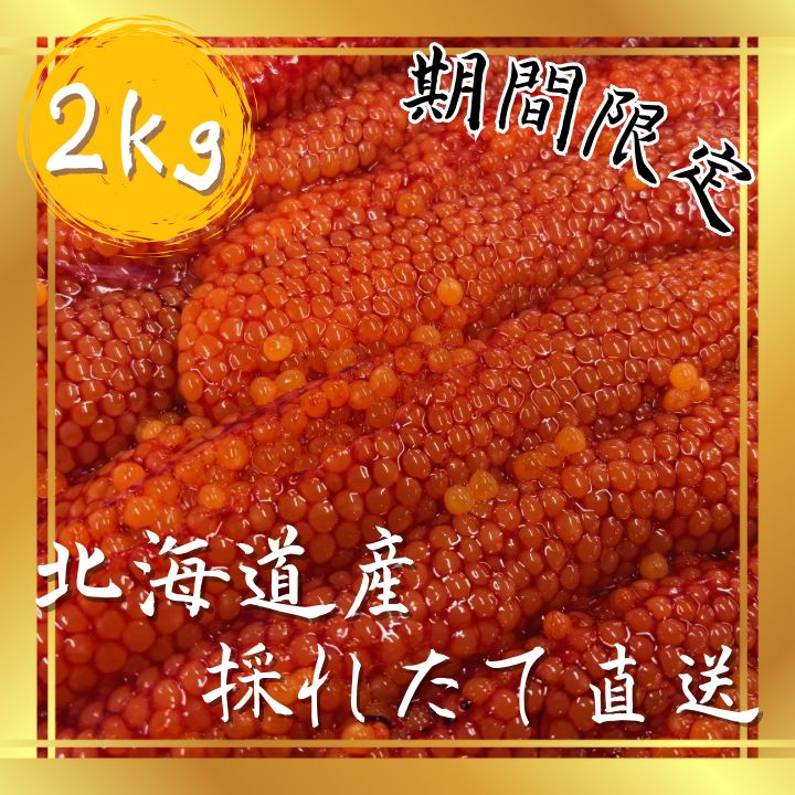 期間 北海道日高産 天然秋鮭 とれたて直送 小粒ながらも濃厚な味わいの生筋子 2kg
