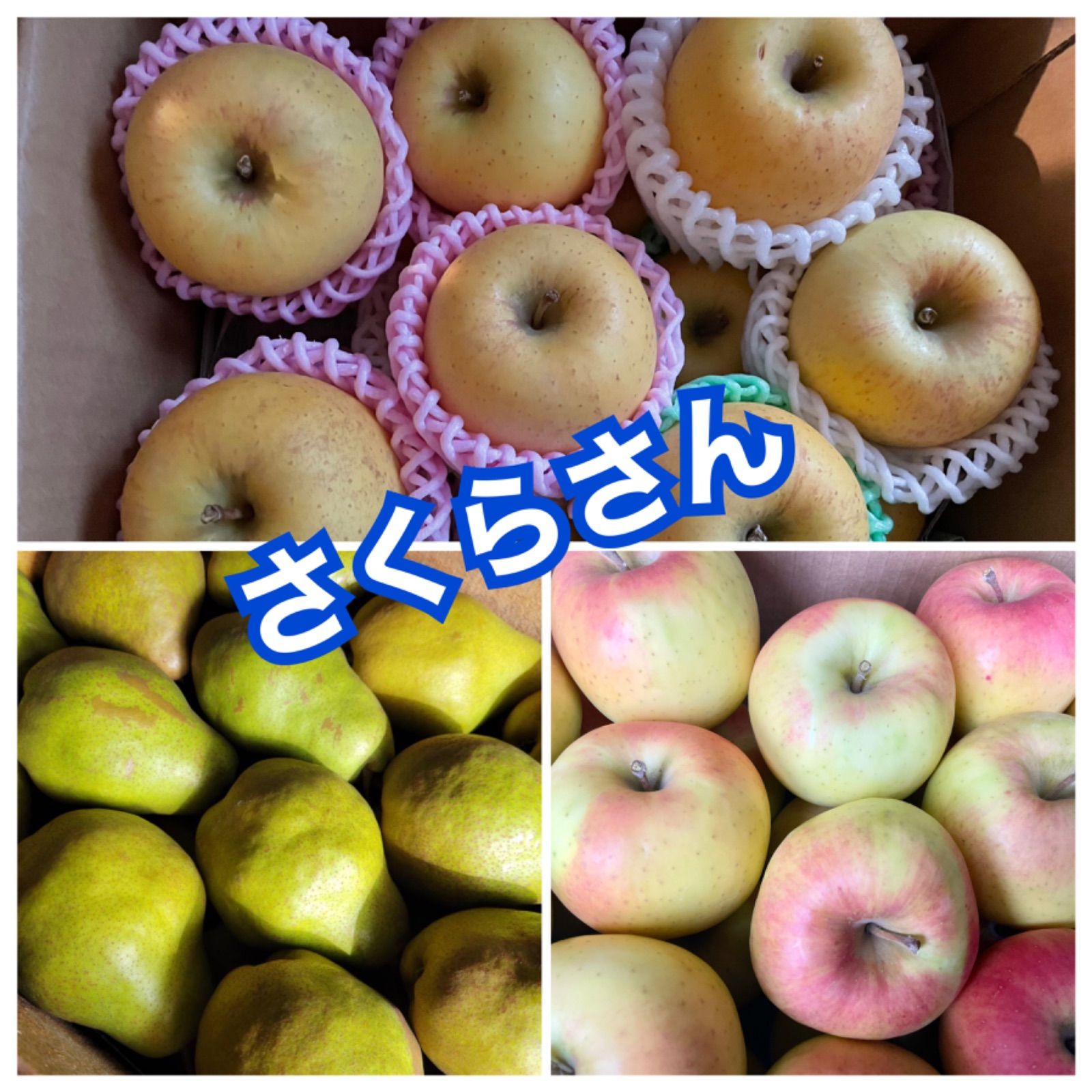 さくらさん専用 さくらさん専用❁