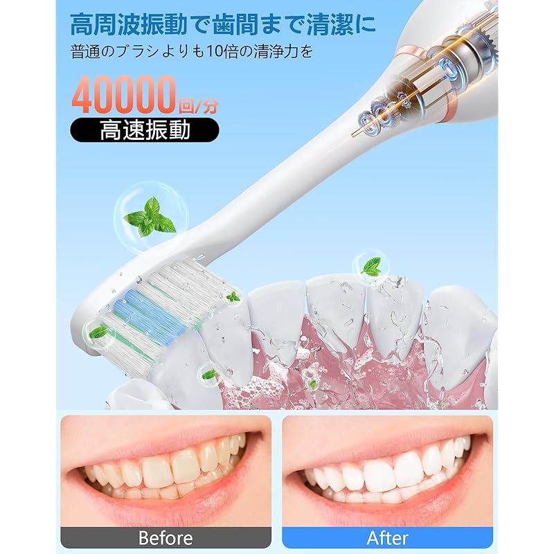 収納ケース付き