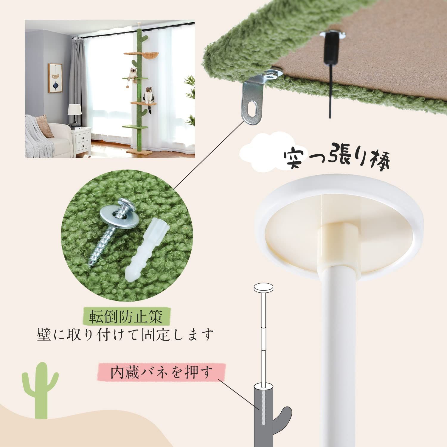 ポンポン