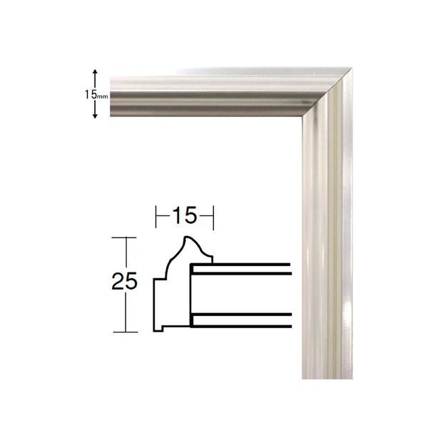 デッサン額縁/フレーム 【大衣サイズ 509×394mm】 シルバー 壁掛けひも