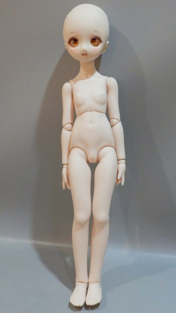 ボークス