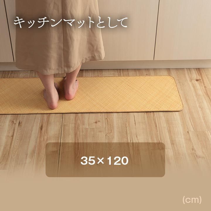 玄関マット マット