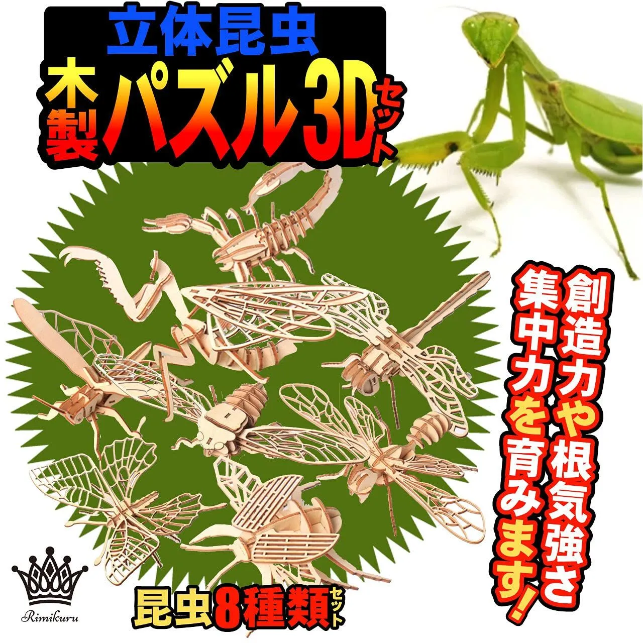 特価商品】木製 パズル 3D 立体パズル 昆虫 セット 無色 工作