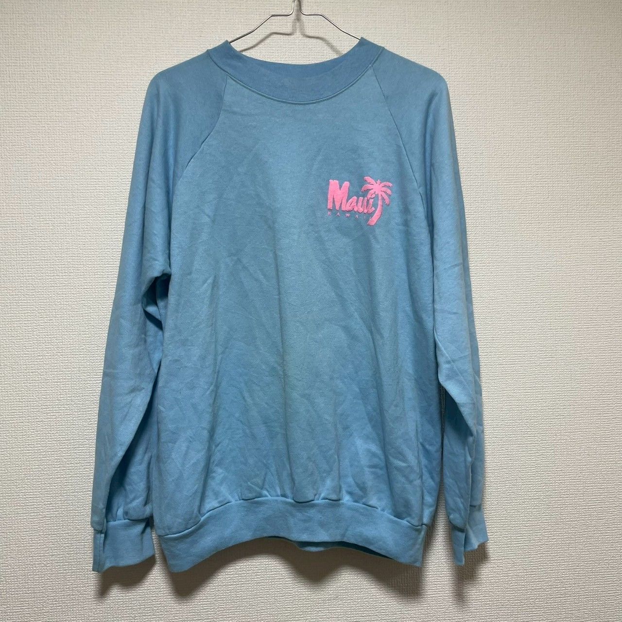 Tee jays USA製 トレーナー 長袖 MEDIUM ライトブルー スウェット ワン 