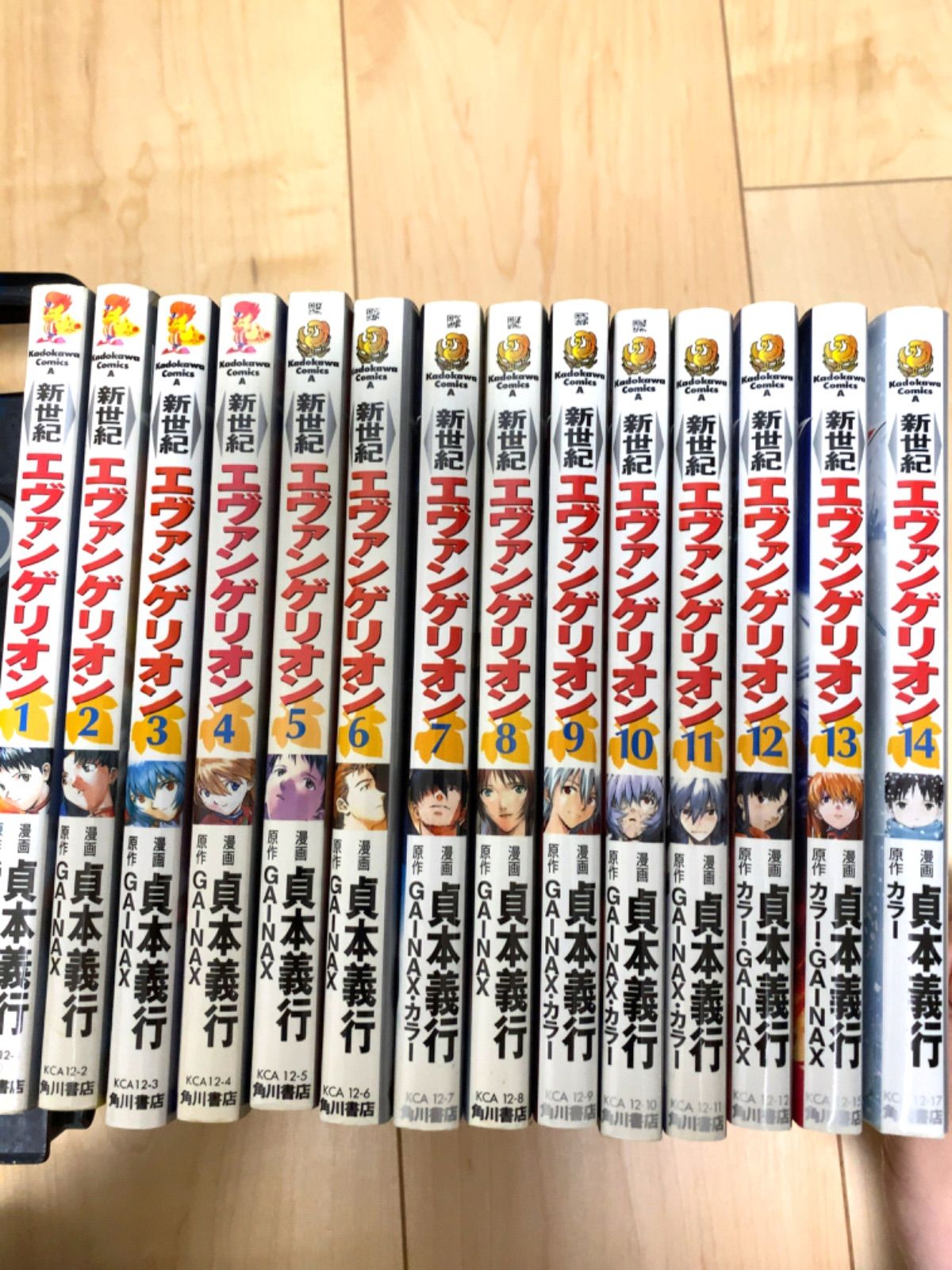 新世紀 エヴァンゲリオン 全巻 プラスいろいろ