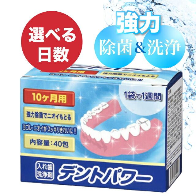 【外箱あり・専用ケース付】 デントパワー 入れ歯洗浄剤 10ヶ月分 強力除菌・洗浄 義歯ケア 無香料タイプ 専用ケース 義歯 入れ歯 入れ歯洗浄 洗浄 清潔