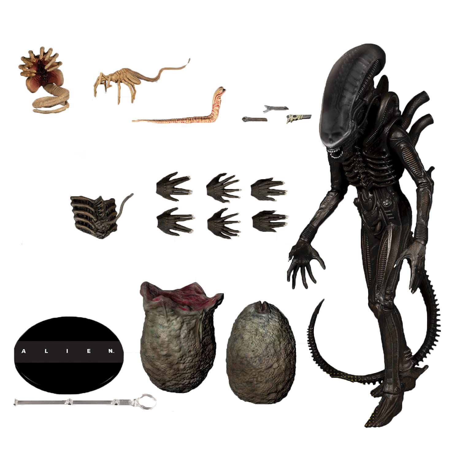 ALIEN エイリアン ビッグチャップ ワン12コレクティブ 1|12 アクションフィギュア 624380