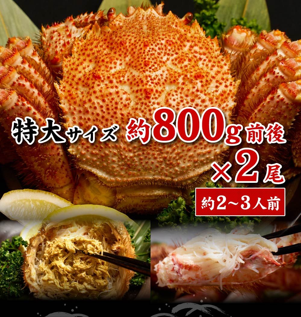 2尾セット 札幌