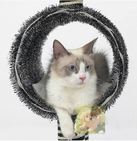 猫タワー 爪とぎ