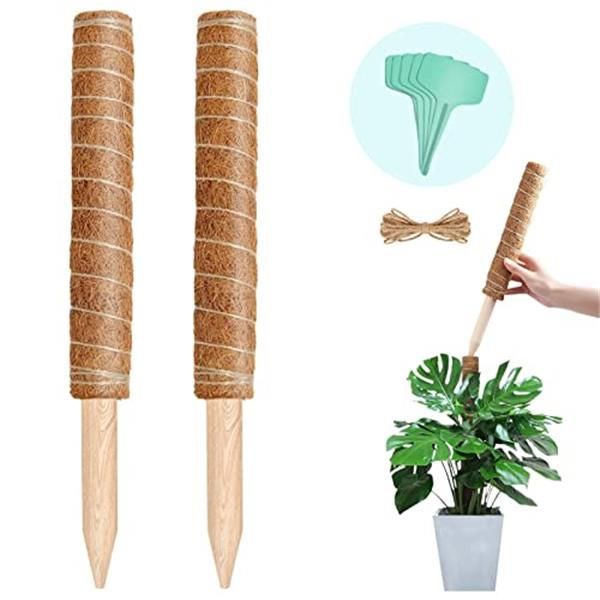 メルカリshops 40cm Youshy園芸支柱 観葉植物モンステラ 支柱 ヘゴ支柱つる性植物 観