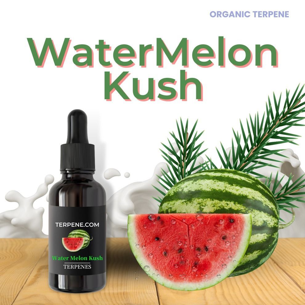 EYBNA テルペン MelonHaze 30ml EYBNA テルペン MelonHaze 10ml EYBNA テルペン MelonHaze 10ml Melon