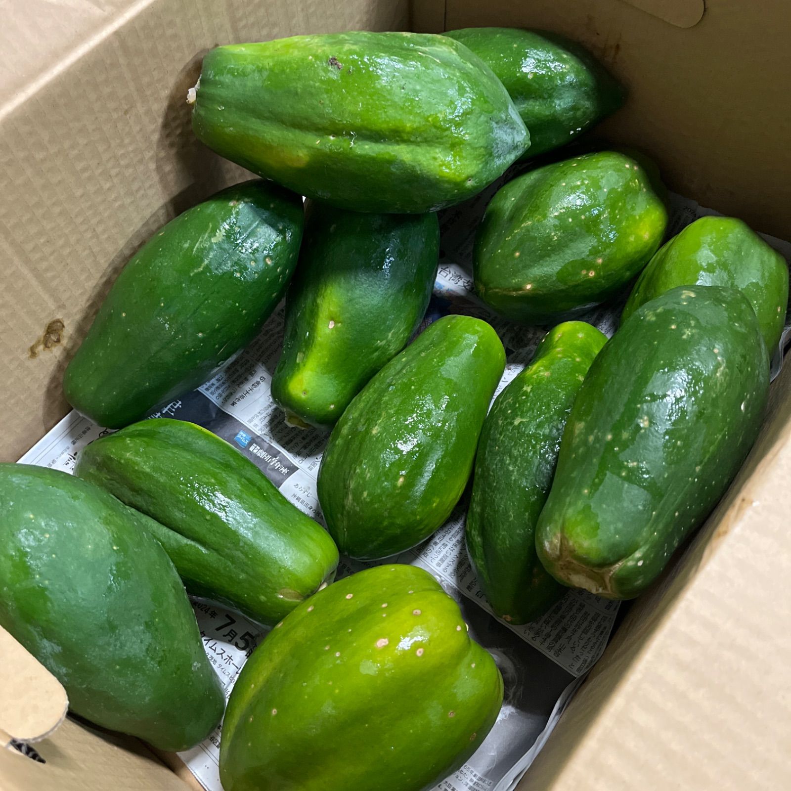 Amazon | 沖縄県産 青パパイヤ5kg | 沖縄の八百屋さん