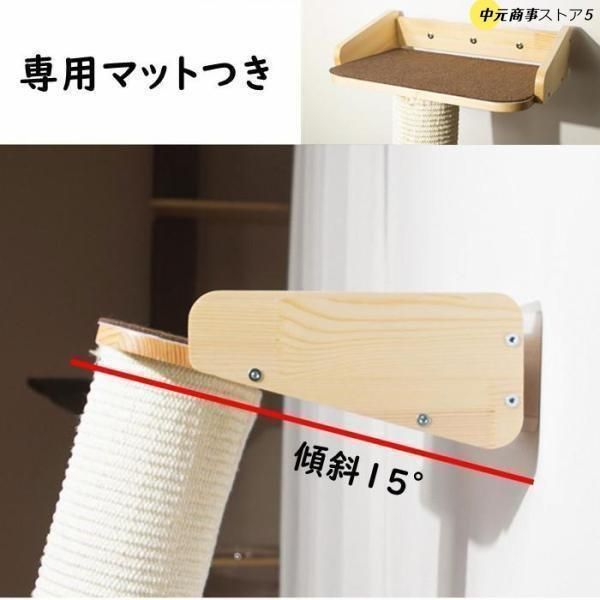 爪研ぎ