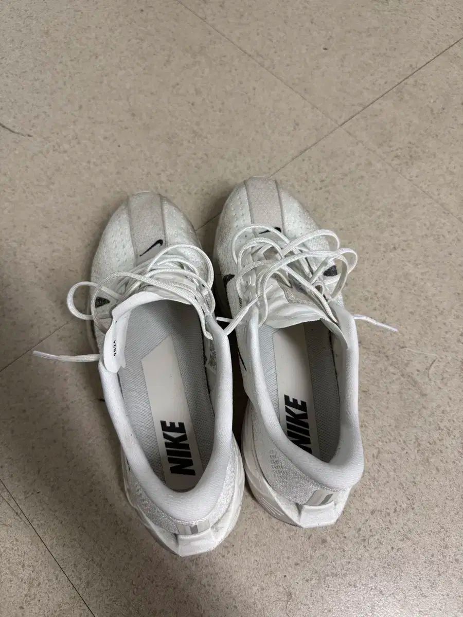 NIKE(ナイキ) ペガサス プラス 255