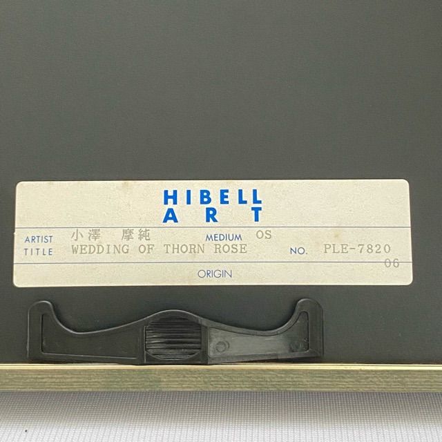 小澤摩純