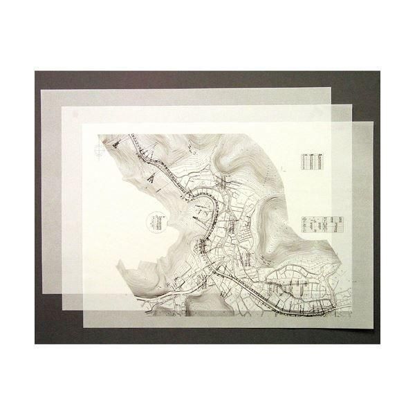 桜井 オリカLPEX A1シートLPEX01 1冊 100枚
