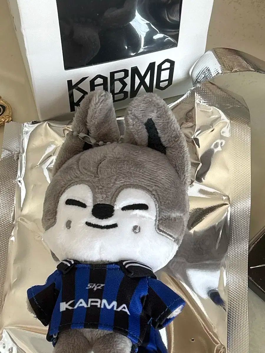 StrayKids KARMA SKZOOver ウルフチャン バンチャン Stray Kids KARMA