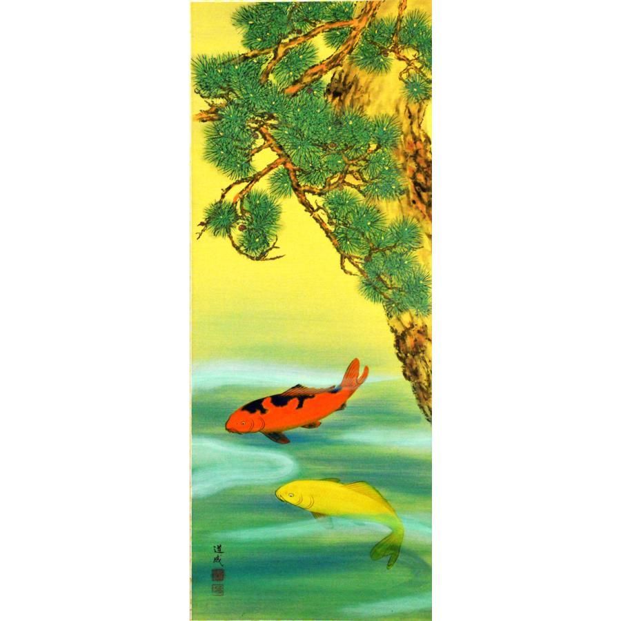 尺五立 老松鯉