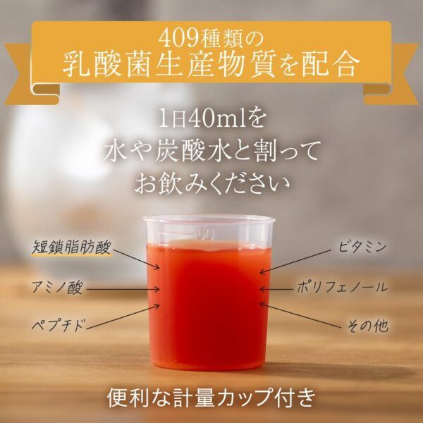 魔法のTANSA409