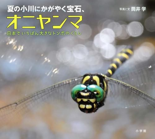 新品][絵本]小学館の図鑑NEOの科学絵本シリーズ (全17冊) 【公式通販】