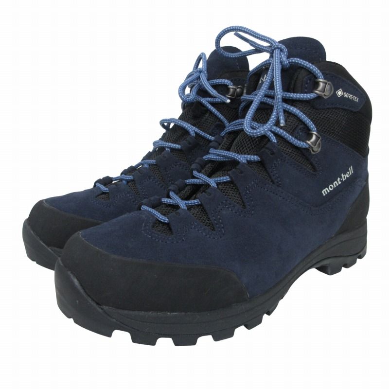 美品 掛け軸 国井柳甫作 金地 鷹に梅図 共箱 太巻き付 縁起物 厄除け