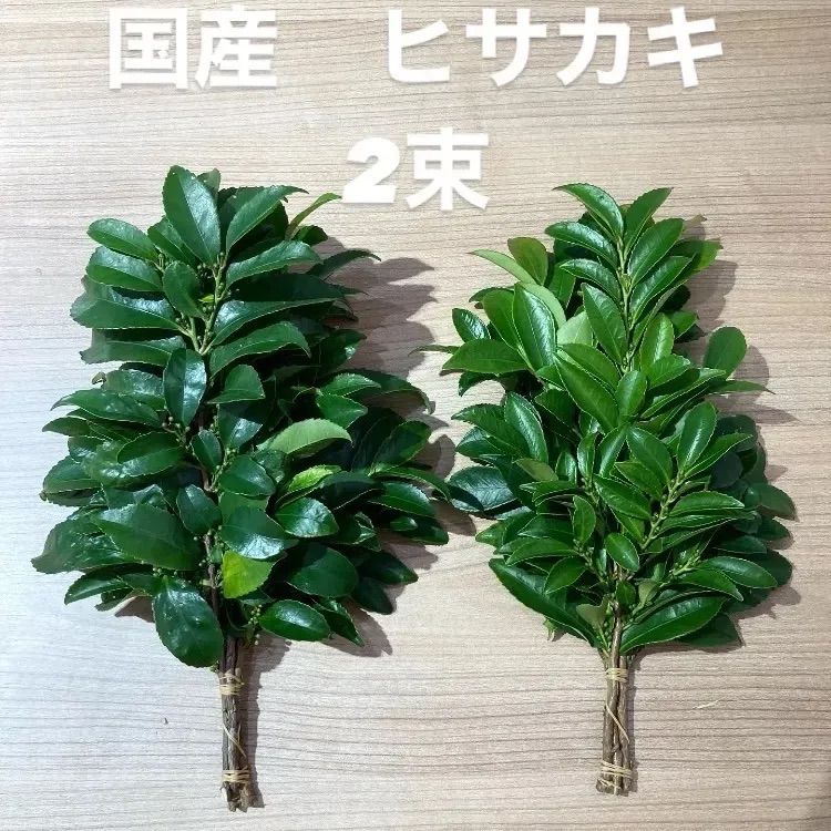 三重県産国産本榊　１対（２束）定期便毎月２回（1、15日）3ヶ月間お届け