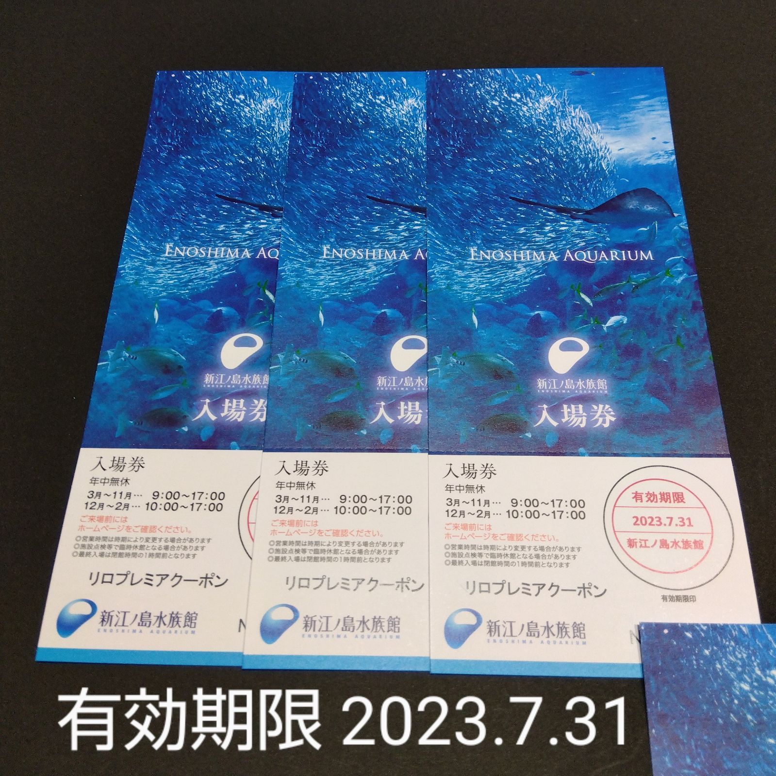 新江ノ島 水族館 入場券 大人３名分 - 水族館