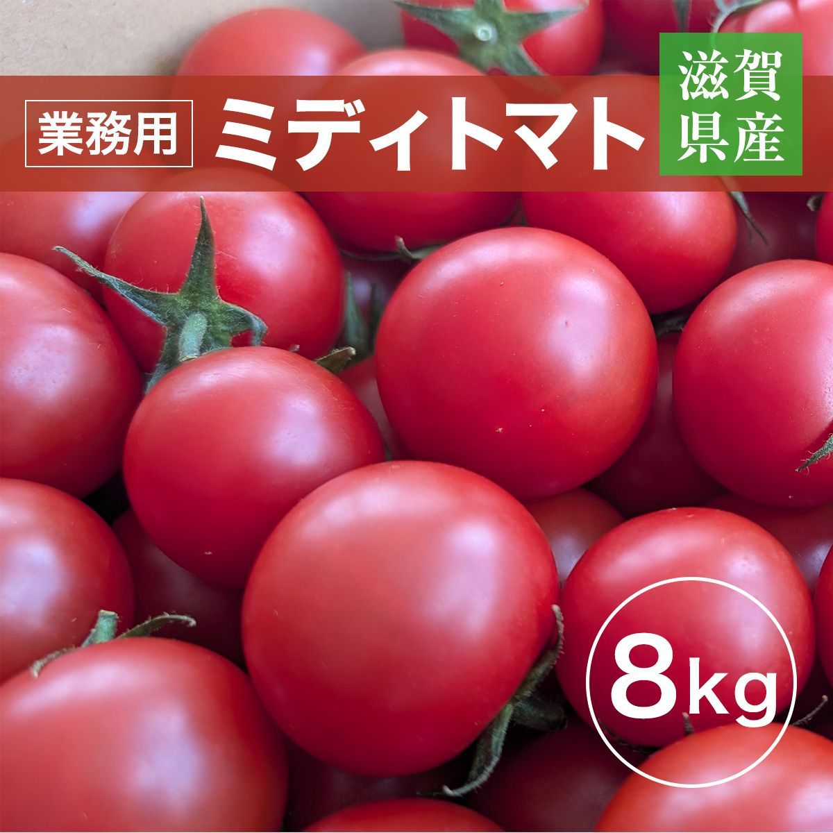 トマト 業務用 中玉トマト ミディトマト 8㎏ 滋賀県 10月～7月の販売